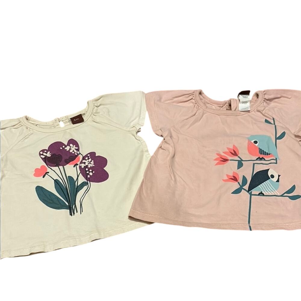 Tea Collection 6-12mo Short Sleeve Tee Bundle
